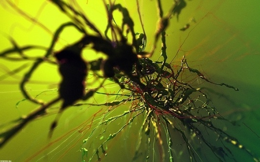 6acdf01d0e2fcb1fe3408380fcfcb9b5.jpg (600×375) #nick #generative #rhizome #nenov #particles #vvvv