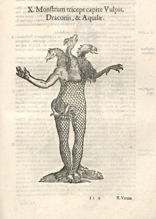 000385 #naturalism #aldrovandi #illustration #latin #ulisse #monster #drawing