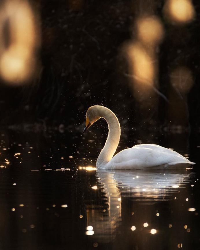 Alluring Nature and Outdoor Landscapes by Linus Englund