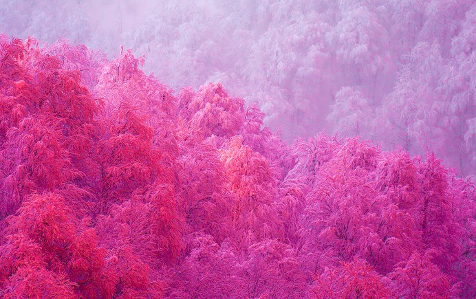 SWEET WINTER on Behance