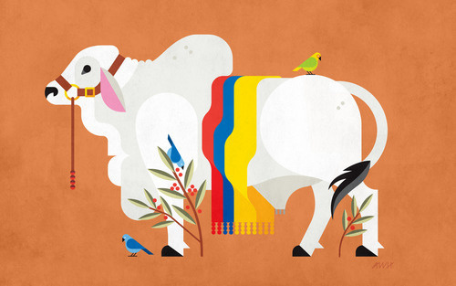 Beautiful Illo by Always with Honor #illustration #colombia