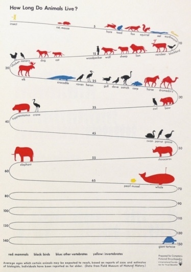 feltron — vizualize: Nice post about vintage infographics... #span #infograph #timeline #animal #life
