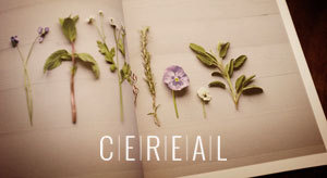 Good Cheap Fast #cereal #photography #identity #flowers
