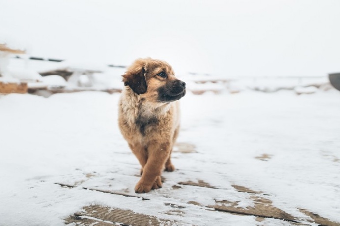 "Pose!" by Zach Allia