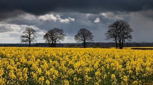 Landscape Photography by Jason Theaker » Creative Photography Blog #inspiration #photography #landscape