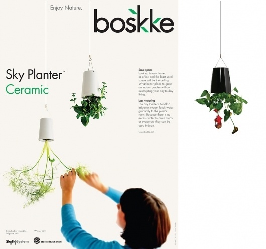 Boskke Identity | Bibliothèque Design #poster #logo #branding