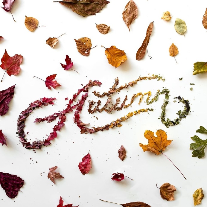 autumn, fall, leaves, lettering