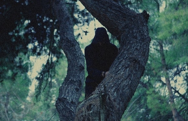 projects : Olga Tzimou #tree #figure #photography #forest #shadow