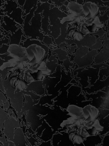 Marcello Velho #pattern #white #black #and #flowers
