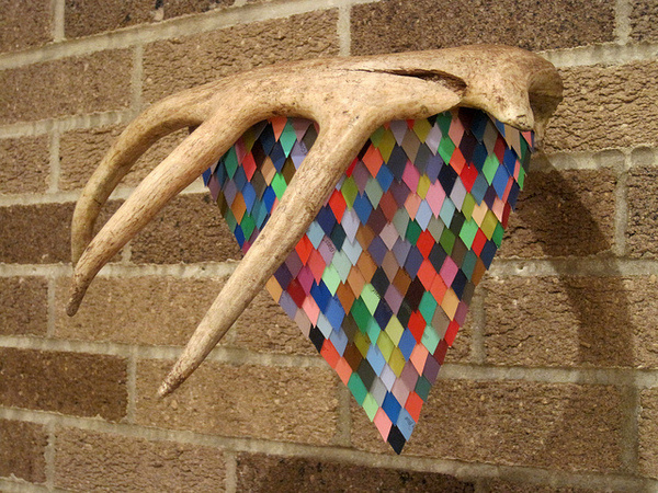 photo #wood #color