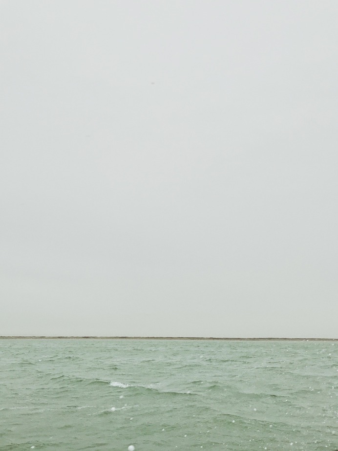 #aanzee #albatros PHOTOGRAPHIE © [ catrin mackowski ]