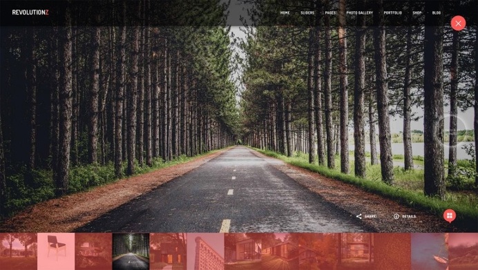 RevolutionZ – Photography & Portfolio