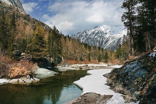 Nature Photography by Dmitry Mottl | Professional Photography Blog #inspiration #photography #nature