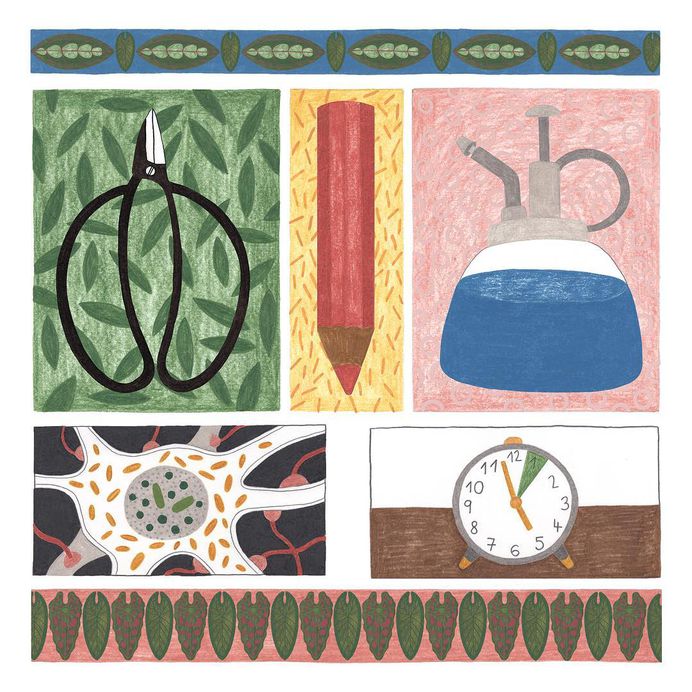 Sneak peek of my current work for @justbreathemagazine 🌿 #illustrator #illustration #illustreak #illustrationage #illustratorsoninstagram #illustrationart #art #drawing #fabercastellpolychromos #carandachepencils #melaniegandyra #botanical #botanicals #studio #infographic #plantlove #scienceillustration #seeds #science #editorial #editorialillustration #magazine #magazineillustration #printisnotdead #inspiration #botanical #plantlover #houseplantclub #womenwhodraw #naturelovers