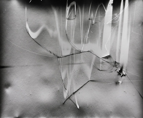 Klea McKenna, Grassland Photograms #photography
