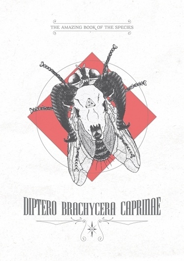 Díptero Brachicera Caprinae : As Ilustrações de Daniel Griza #draw #insect #illustration #skull