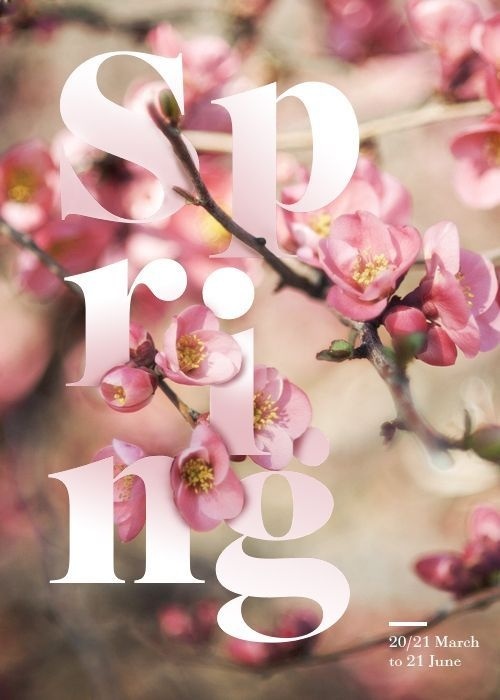Four Seasons Typographic Posters #typographic #seasons #poster
