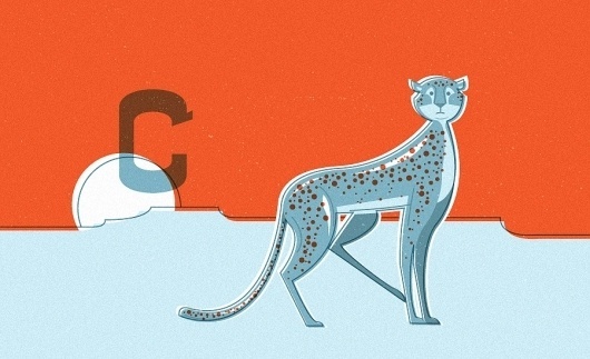 All sizes | Cheetah | Flickr - Photo Sharing!