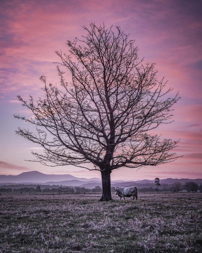 #newsouthwales: Beautiful Landscape Photography by James Blakeney