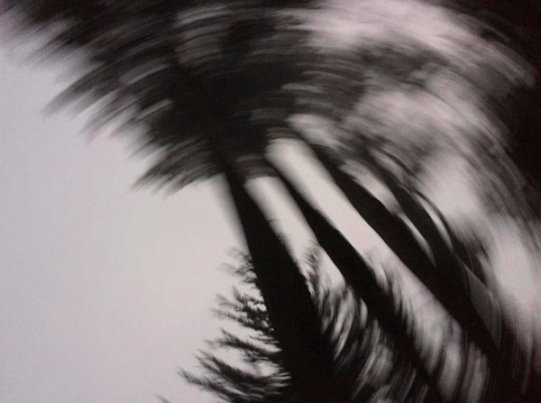 Lauren Davison | PICDIT