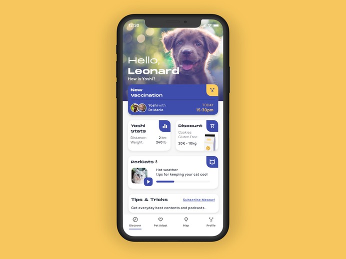 discover-dribbble.png