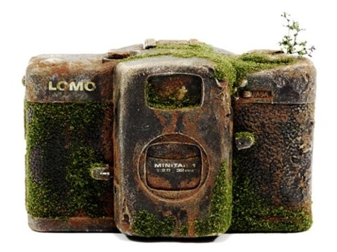 eb8089e7462dd3c64dfcb9dcf08a76deb3267461_m.jpg 480×360 pixels #old #l+ca #lomo
