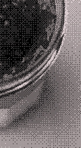 JPP Synthetic : Mildred & Duck #bitmap #illustration #design #photography