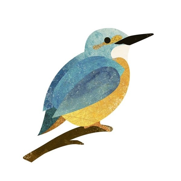 Ben Satchell #illustration #kingfisher #wildlife #bird