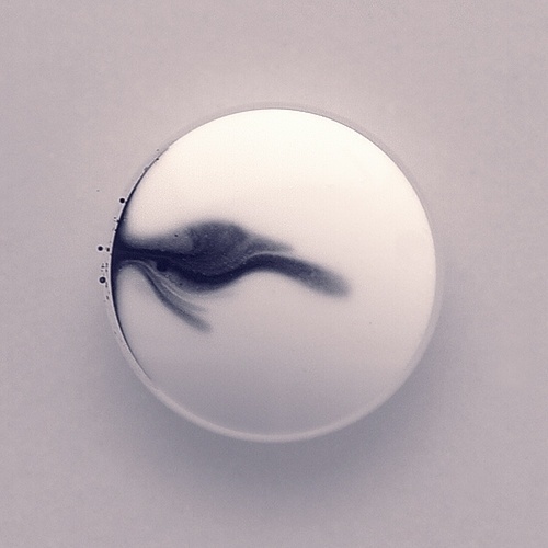 David McLeod 2 #photography #macro #sphere