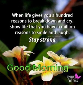 - Good Morning Wednesday