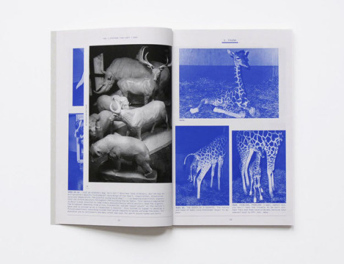 books, graphic design