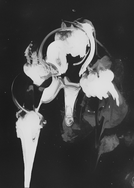 Trent Alexander Hernandez #white #rose #design #floral #black #photography