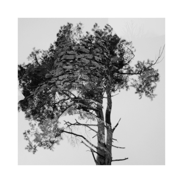 http://www.pfdfndr.de/files/gimgs/32_waldbwkl.jpg #wood #tree #white #black