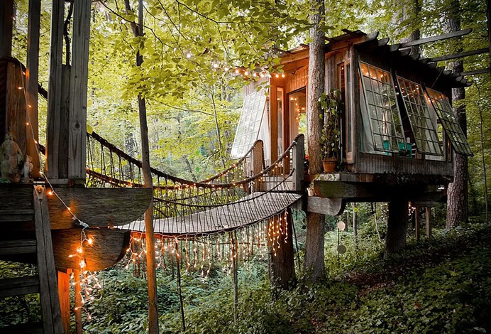 Tree house