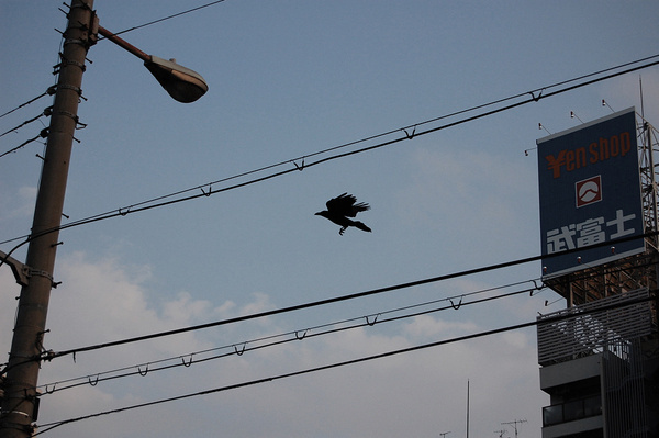 Tim Hansen – Osaka #photography #japan