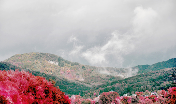 #colorize PHOTOGRAPHIE © [ catrin mackowski ]