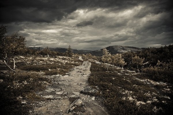 Fine Art Photography by Nicolai Perjesi » Creative Photography Blog #inspiration #photography #art #fine