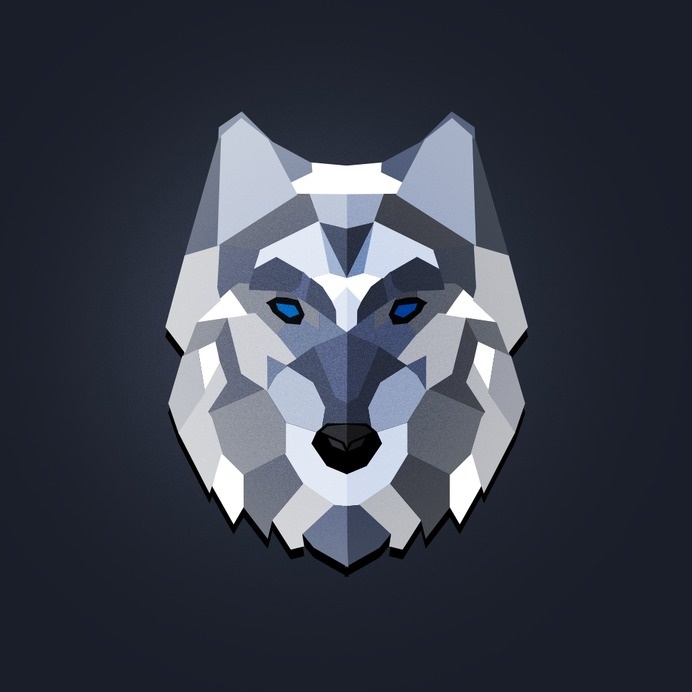 a lonely wolf #poly #illustration #art #wolf #low