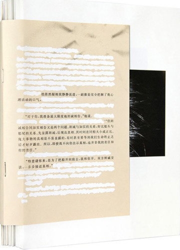 Chen Zhe: Bees & The Bearable (signed) - Bookshop Anzenberger Gallery