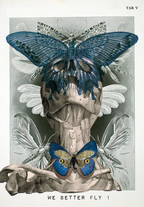 Click to enlarge image Isabelle Dalle designboom 21.jpg #isabelle #dalle #anti #collage #style