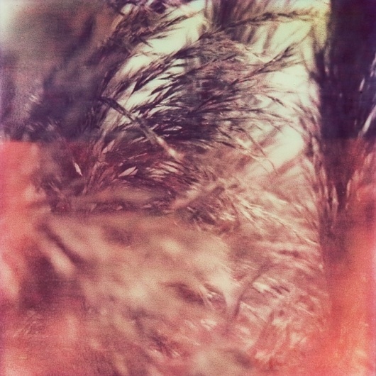 Neil Krug #neil #krug #photography