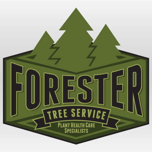 Forester Tree Service Branding By Rev Pop #badge #tree #advertising #brand #service #logo