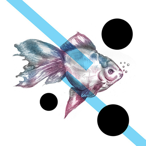 YOU CAN BUY IT HERE #illustrations #polak #polska #victim #artis #design #poland #logo #project #illustrator #fish #moda #de #sztuka #fashion #suda #mateusz #graphic #ilustracja #mateuszsudacom #art #artysta