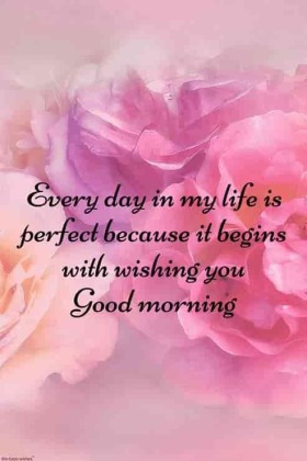 Best Good Morning Images HD Wishes Pictures and Photos - ,good morning images,good morning images awesome,good morning images cute,good morning images hd,good morning images in hindi,good morning images inspiration,good morning images new,good morning images photography,good morning images romantic