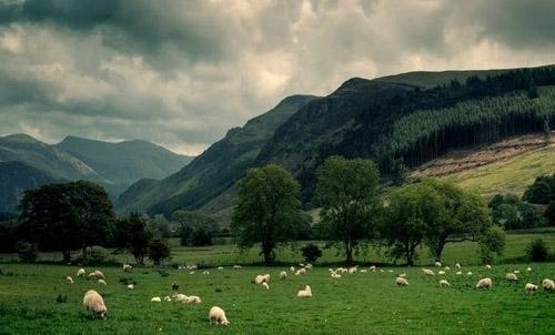 Photography by Martin Turner | Professional Photography Blog #inspiration #photography