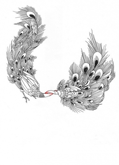 Peacock III Art Print by Yuku | Society6 #handdrawing #peacock #illustration #china