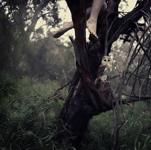 Jessica Tremp | iGNANT #owl #photo #jessica #tremp #forest