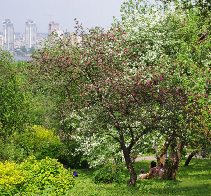 Kyiv, Ukraine
