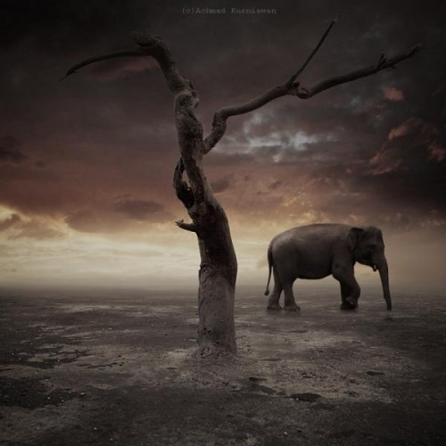 Photography by Achmad Kurniawan #photography #conceptual #inspira
