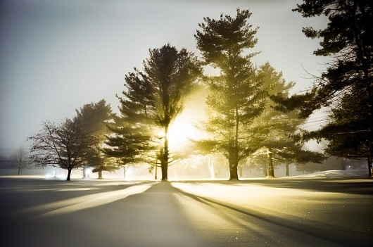 Flickr: IanAltamore.'s Photostream #night #light #snow #winter
